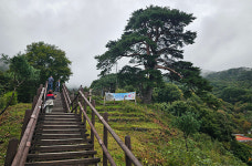 뱀사골 물소리와 광한루의 고즈넉함까지