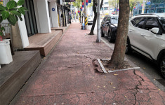 남원시 가로수 뿌리 정비··· 시민 안전 지켜