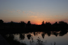 붉은 물든 노을빛 정원