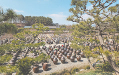 100년 전통 황등석산 웅장함에 반하다