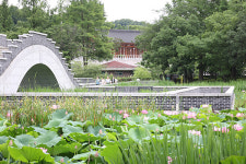 낮과 밤, 덕진공원에 마실오세요