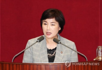 국회 여가위원장 전혜숙 