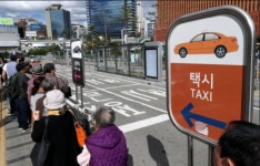 서울시, 여성·반려동물 전용택시 올해 안에 도입 검토