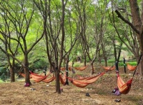 산림치유의 명소로 도약한 증평 좌구산 숲명상의 집은