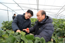 김경규 청장, 충남 금산군 농업인 만나 현장 소통