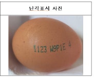 경남도 고성군 소재 농가 생산 계란 부적합 회수, 폐기