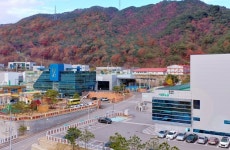 서울F&B 강원도수출대상 부문 은상 수상