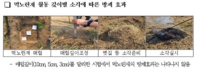 논두렁 태우기, 해충 방제효과 없다