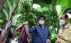 허태웅 농촌진흥청장, 경북 청도영천 영농현장 방문