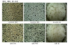농촌진흥청, 밥에 윤기 자르르 미소진미 소개
