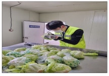 검역본부 중부지역본부, 제수용 수입 농산물특별검역기간 운영