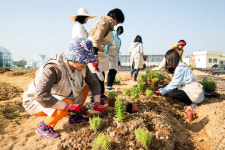 도시농업의 가치, 금액으로 환산하면 5조