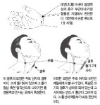잘못된 채혈 위치 당뇨 악화… 음양맥진법 구별 가능