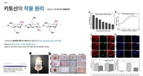 메이린스테이션 청담 박현준 대표원장, 메디팹 레스노베 크리스탈 플러스 키닥터 선정
