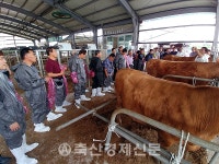 남원축협 한우 인공수정 등 실습