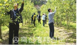 농협 안심축산사업부, 적화 구슬땀