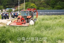 올해 풀사료 생산 45만톤 늘어난다