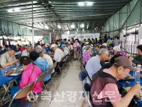 토요일은 토종닭 먹는 날