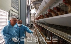 재래·토착종 11계통 토종닭 인정