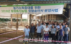 통영축협 우량송아지 분양사업 실시