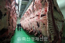 축산이슈 브리핑