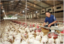 창간 28주년 특집 동물복지-프롤로그