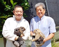 틈새시장을 노려라Ⅰ…「감먹은 토끼농장」