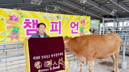 나주시 이대환 농가 출품 한우 챔피언