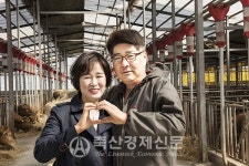 한육우 리더 K-farm 「지경농장 강훈 대표」