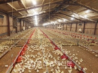 참새고을농장 - 대표 윤정수