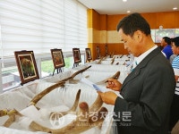 국내 최고의 사슴 가리자