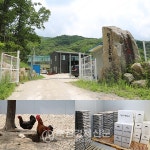 [축산업 부정적 시각에서 벗어나자-현장 Ⅱ] 윤리적 소비 확대…건강한 먹거리 제공 자부