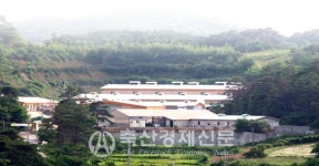 농협 종돈, 생산비 크게 절감
