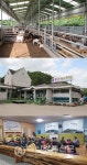 [축산 현장에 활기를-귀농 우수 사례] 시행착오 딛고 염소로 부농의 꿈 영글어