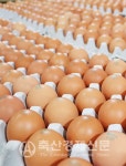 [축산 바로 알리기] 계란, 어떻게 먹어도 건강