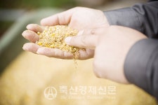 2019년 축산업계 결산(3)동물약품/배합사료