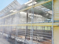 여름철 무더위 축사·가축 관리 이렇게…