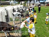 코로나 여파 낙농체험목장 개점 휴업