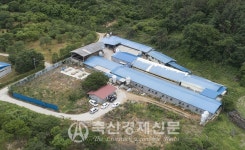 탐방 한돈리더 K-Farm「전북 완주 고산농장」