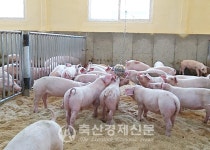 선진, 동물복지 위해 흘린 땀 빛 본다