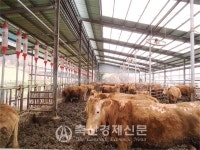 [스마트축산 길을 묻다Ⅱ - 단지 조성 사업]