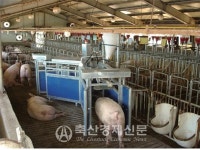 [스마트축산 길을 묻다Ⅱ - 단지 조성 사업]