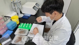 우리 한우, 믿고 드세요