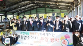 사천축산농협 우량암송아지 원가 이하 분양