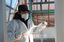 [퇴비부숙도 의무화 D-74일Ⅱ…우수사례] 경기 화성 헌진목장