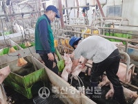 축사 관리사, 외국인 노동자 숙소 인정 불가