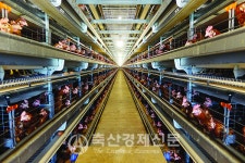 농식품부 산란계농장 질병관리등급제 도입