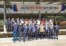 강릉축협 한우 번식우 농가 분양 행사 개최