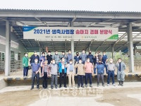 생축장 우량송아지 경매 분양