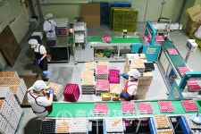 계란유통혁신 선도 농업회사법인 (유)한성에그촌